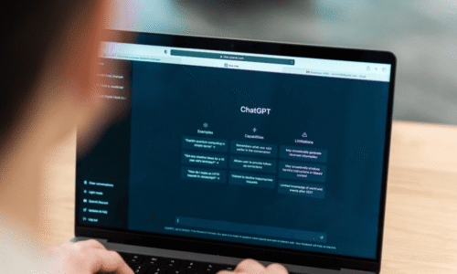 The Art of Prompting